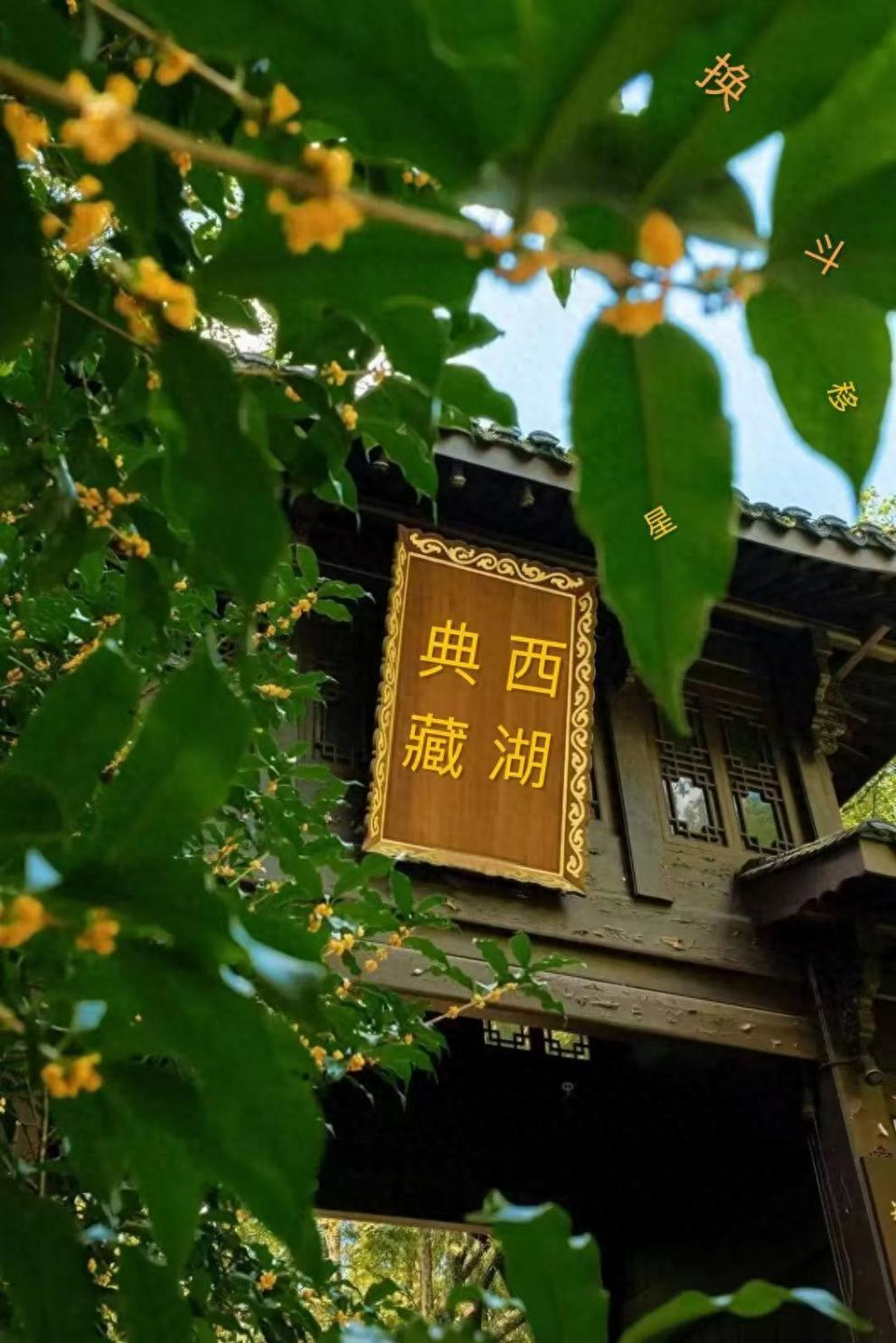 /uploads/image/2025/11/06/af8bc427ce92da69919cbfecdac4c37e.png 图片1.png